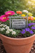 "Welcome To Colorful Colorado" Flower pot ornament