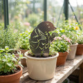 Mr Mole Flower Pot Ornament